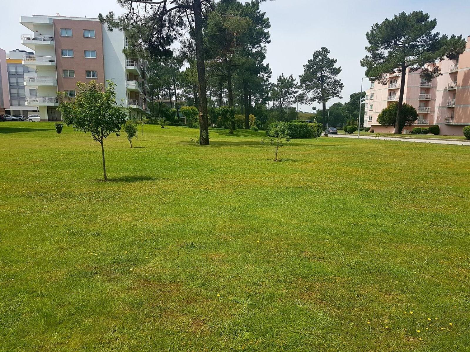 Viana Do Castelo, Cabedelo Beach Apartment Extérieur photo